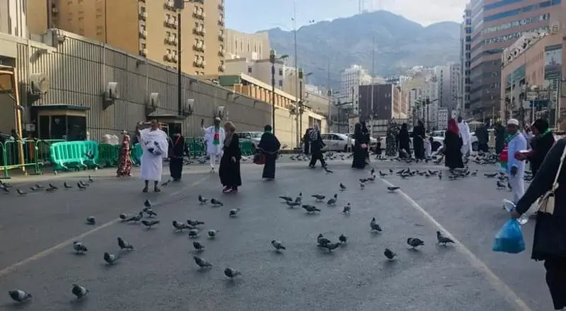 How to Book Private Group Ziyarat